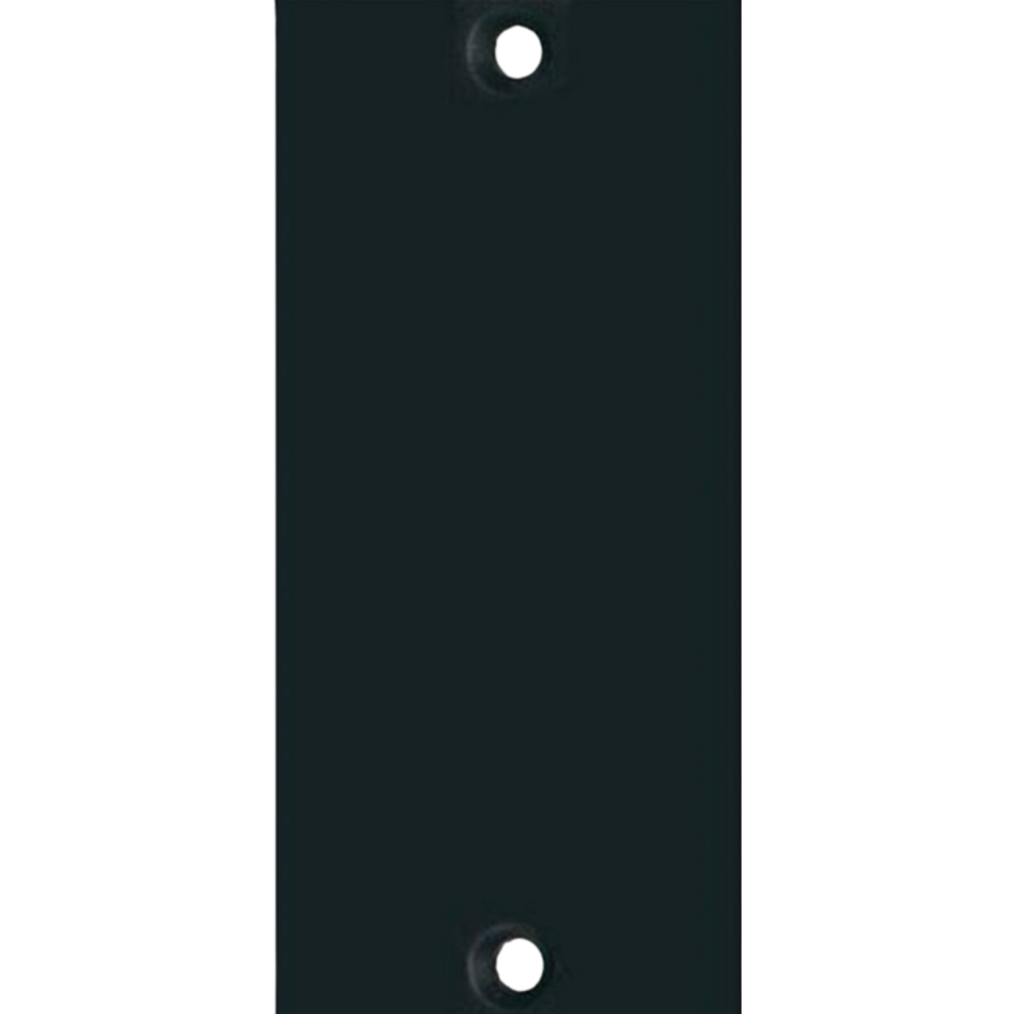 API 2B1 200 Series Blank Panel, 1 slot