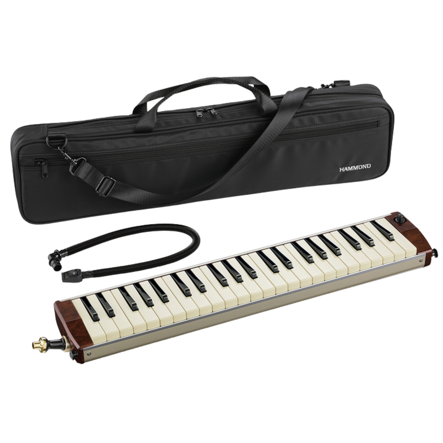Hammond Melodion Pro 44H v2