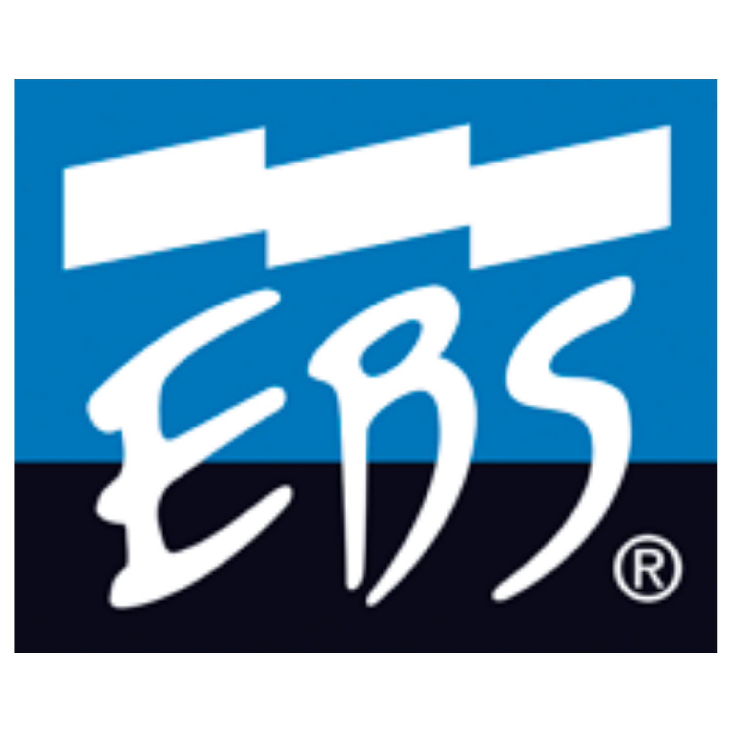 EBS Professional Bass Equipment