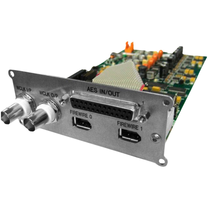 AMS Neve 4081 A/D/D/A converter option