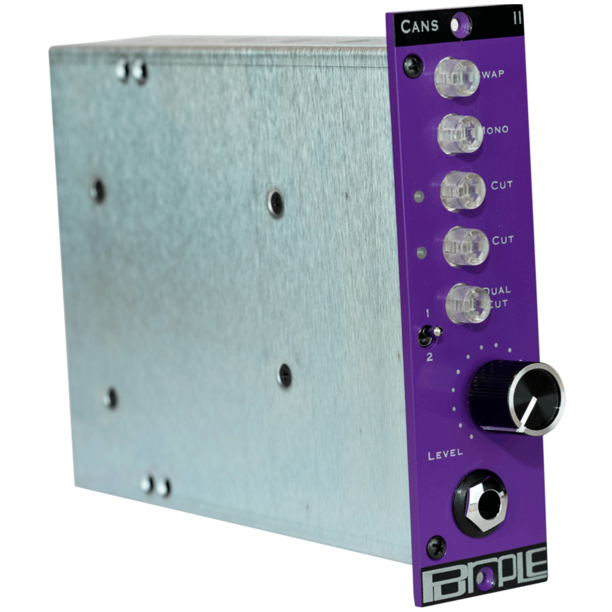 Purple Audio 5H1 CANS