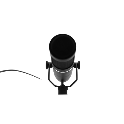 AEA KU5A Active Supercardioid Ribbon Mic
