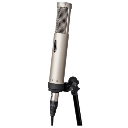 Royer Labs R-12 Active Ribbon Microphone