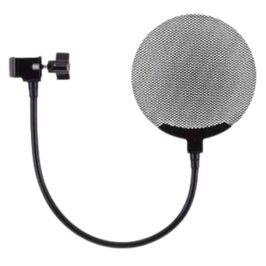 Royer Labs Royer PS-101