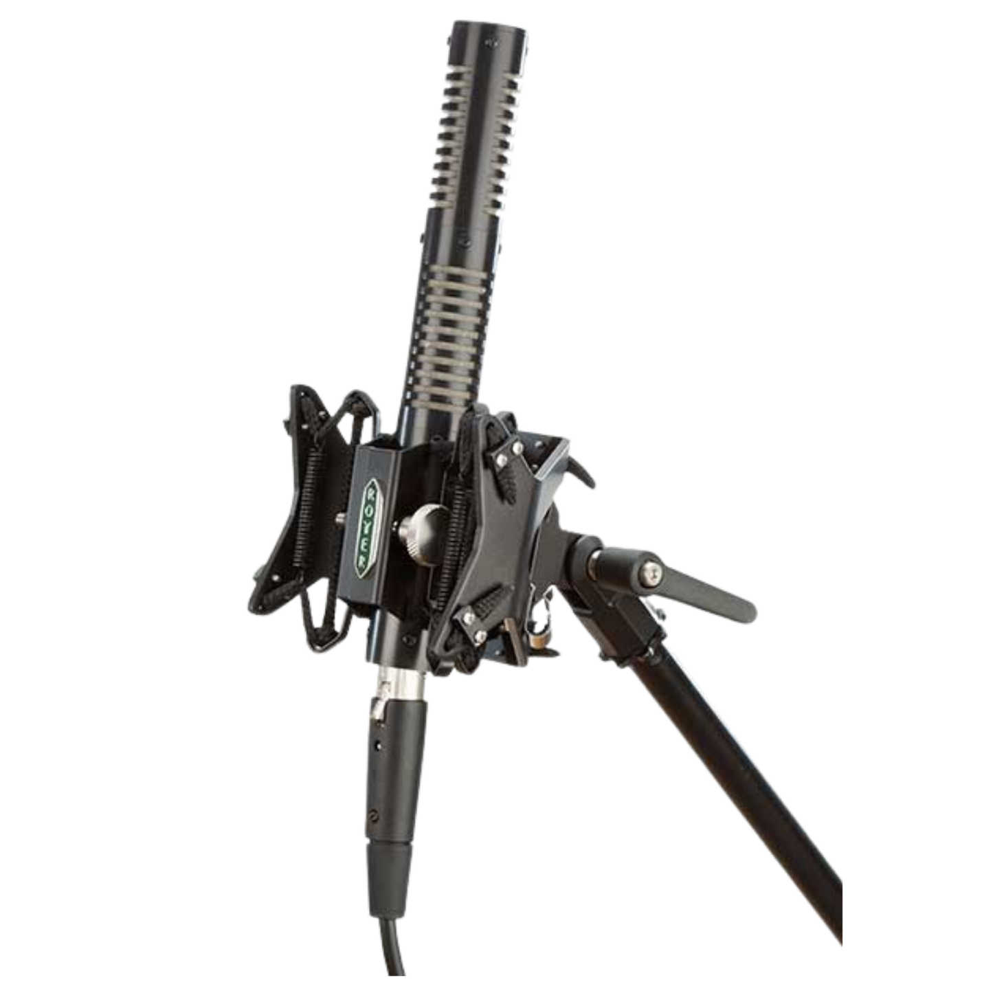 Royer Labs Royer SF-12