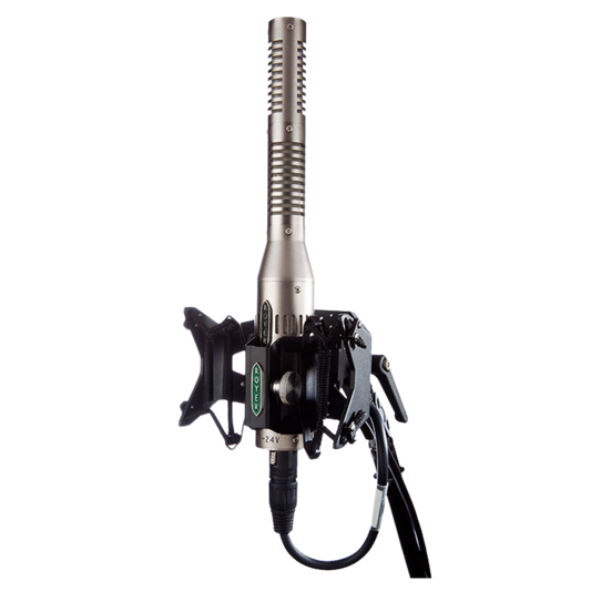 Royer Labs Royer SF-24V