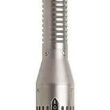 Royer SF-24V