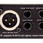 Pepper - Rear 900