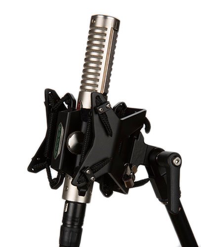 Royer RSM-SS1